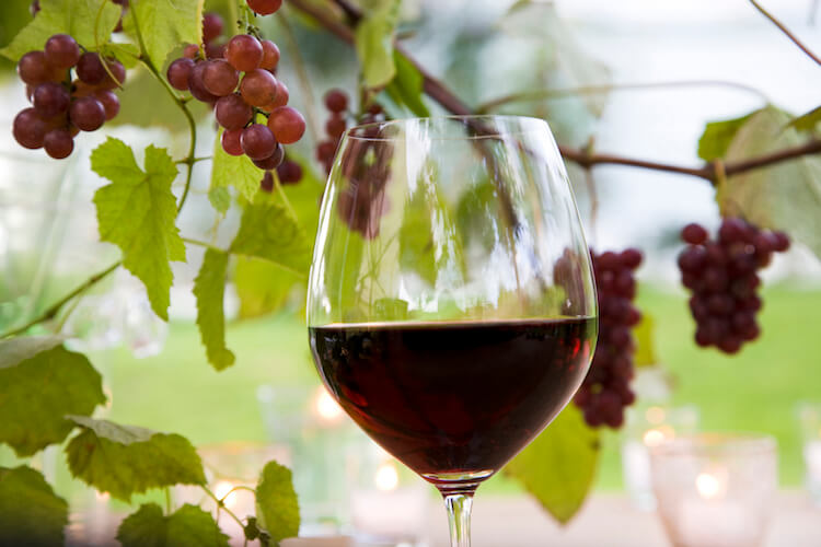IWSR identifies key trends in wine for 2023