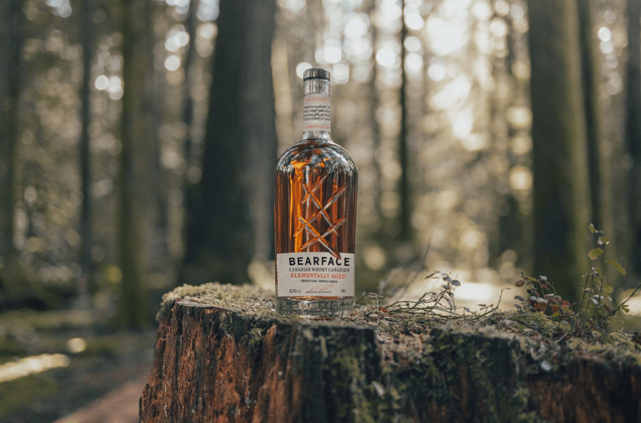 The disrupter and the distributor Mark Anthony Brands International