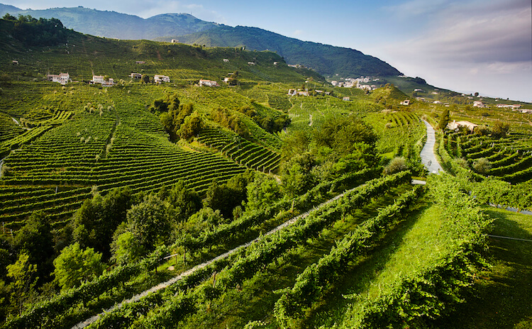 Villa Sandi to introduce Prosecco Rosé at TFWA Cannes